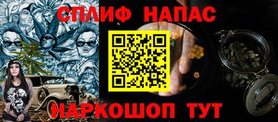гашик Будённовск