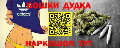 гашик Будённовск