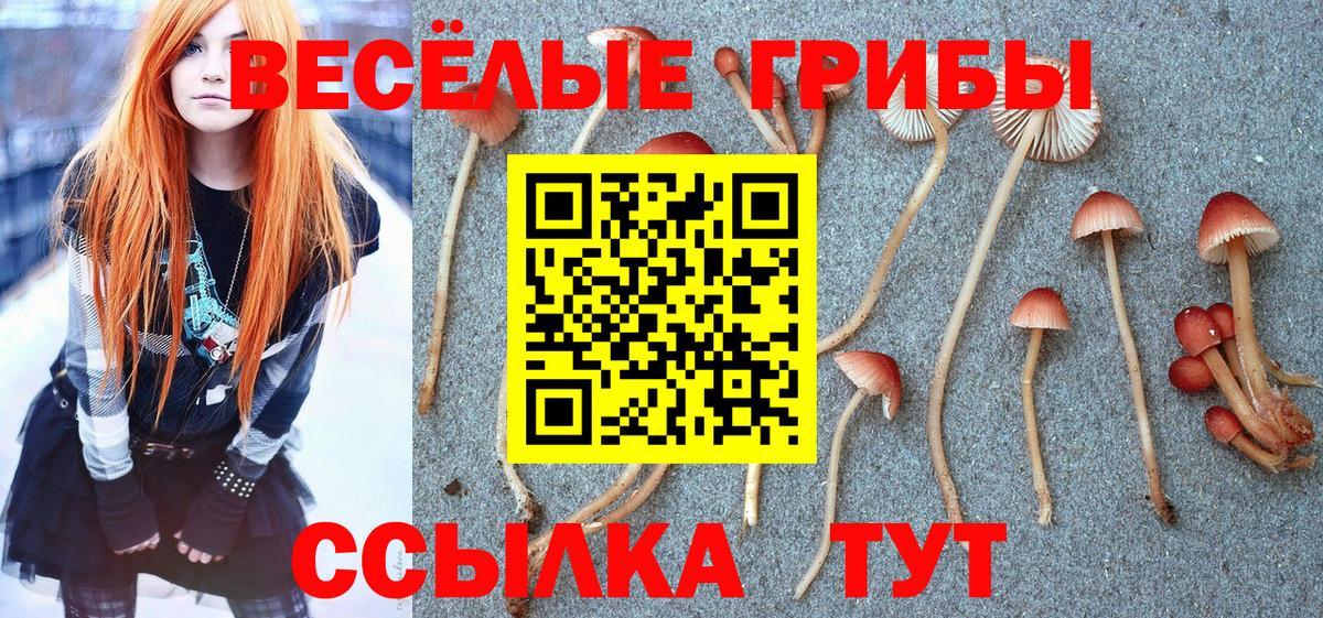 Галлюциногенные грибы Psilocybine cubensis  купить   Урай  Вход с VPN  Галлюциногенные грибы прущие грибы 